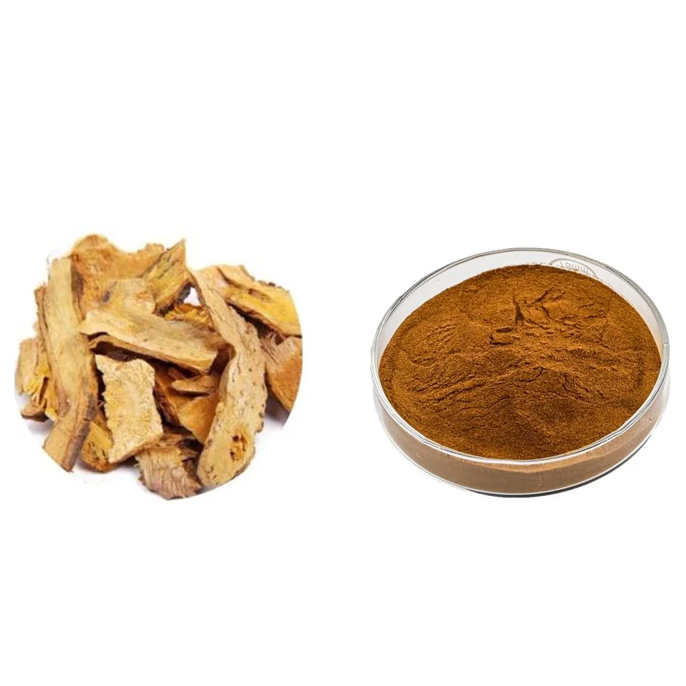 Pure Natural Resveratrol Extract Powder Plant Extracts