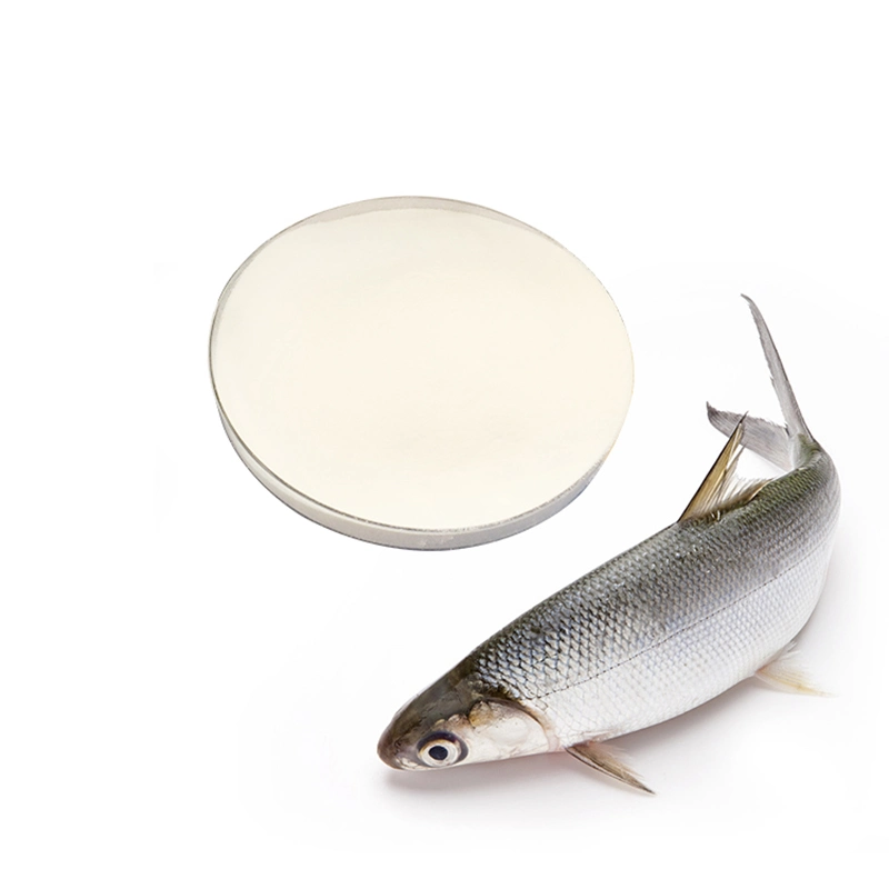 Natural Fish Collagen Peptide Powder Protein Powder From Marine Tilapia Skin