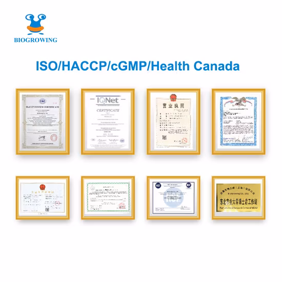 유제품을 위한 동결 건조된 유산균 프로바이오틱스 분말 20-8000억 CFU/G