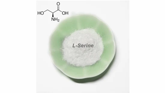 고품질 USP 표준 L-세린